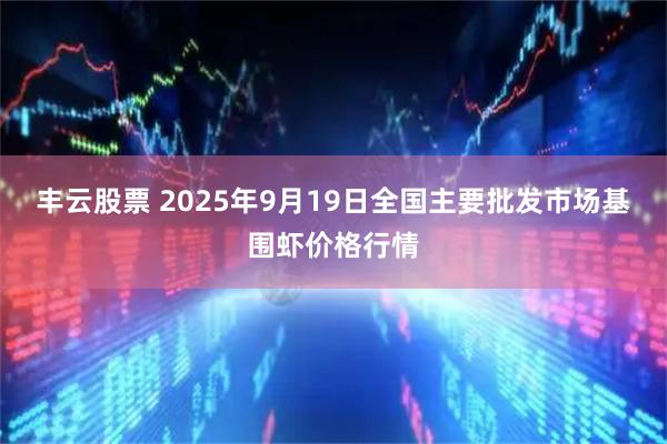 丰云股票 2025年9月19日全国主要批发市场基围虾价格行情