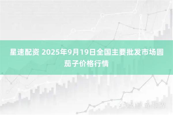 星速配资 2025年9月19日全国主要批发市场圆茄子价格行情