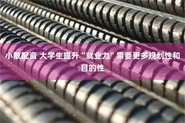 小散配资 大学生提升“就业力”需要更多规划性和目的性