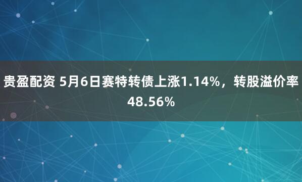 贵盈配资 5月6日赛特转债上涨1.14%，转股溢价率48.56%