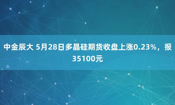 中金辰大 5月28日多晶硅期货收盘上涨0.23%，报35100元