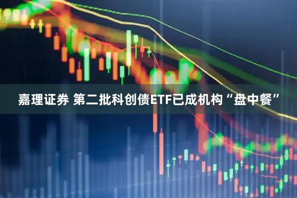 嘉理证券 第二批科创债ETF已成机构“盘中餐”
