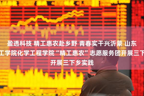 盈透科技 精工惠农赴乡野 青春实干兴沂蒙 山东石油化工学院化学工程学院“精工惠农”志愿服务团开展三下乡实践