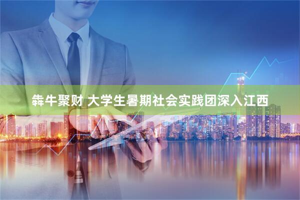 犇牛聚财 大学生暑期社会实践团深入江西